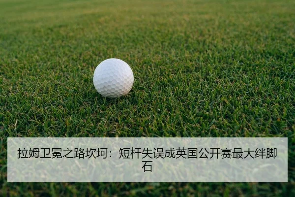 la-mu-wei-mian-zhi-lu-kan-ke-duan-gan-shi-wu-cheng-ying-guo-gong-kai-sai-zui-da-ban-jiao-shi-2-493.jpg