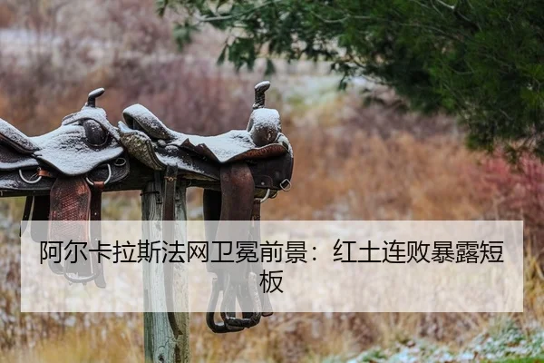 a-er-ka-la-si-fa-wang-wei-mian-qian-jing-hong-tu-lian-bai-bao-lu-duan-ban-2-721.jpg